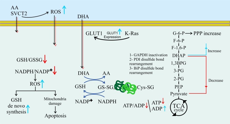 Fig. 2