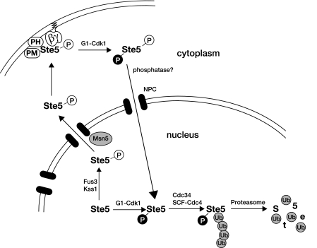 FIG. 9.