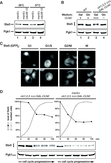 FIG. 7.