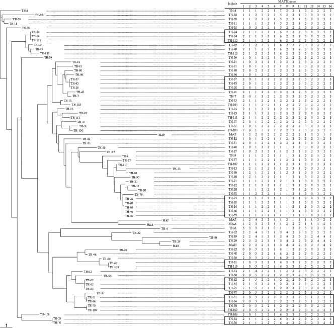 FIG. 2.