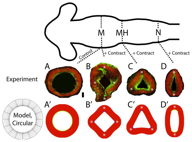 Figure 8