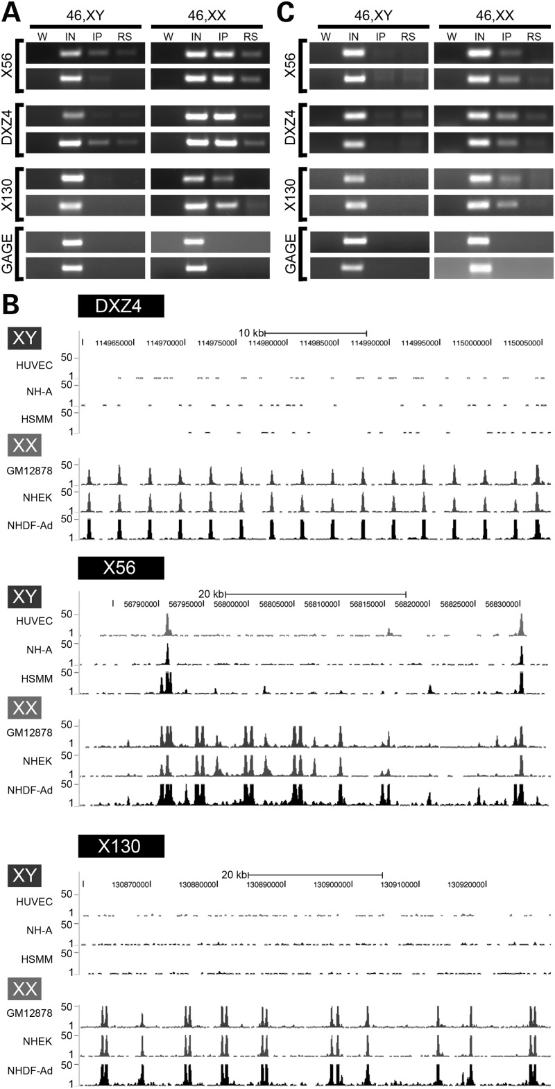 Figure 3.