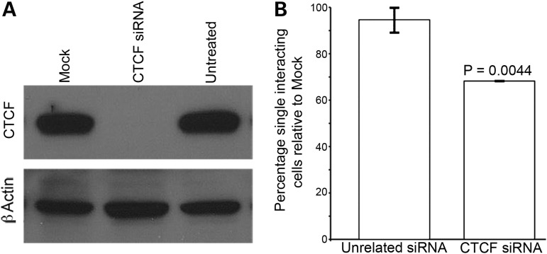 Figure 6.