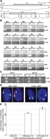 Figure 2.