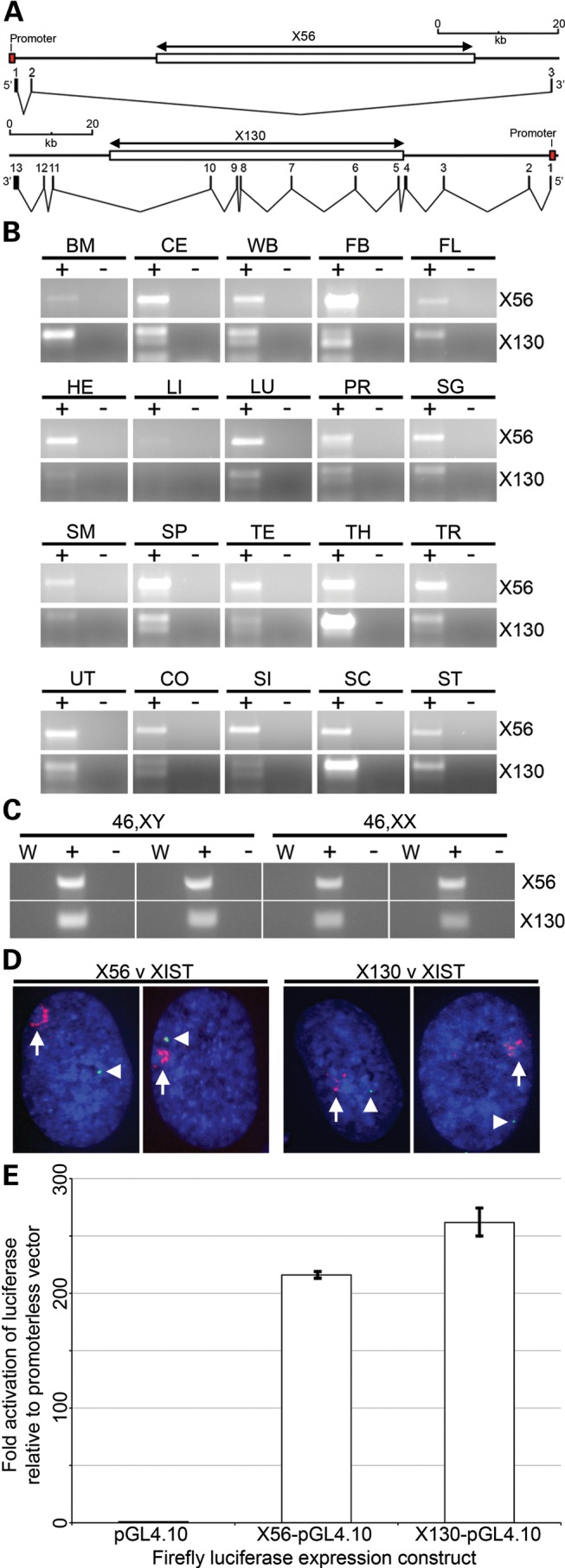 Figure 2.