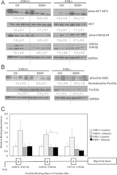 Fig. 6