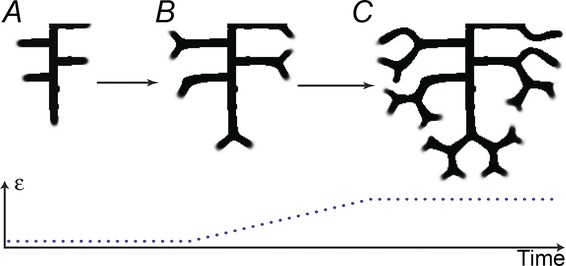 Figure 8