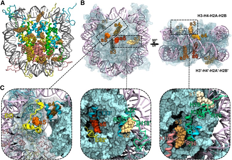 Fig. 3.