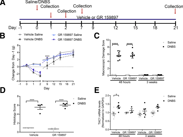 Figure 6