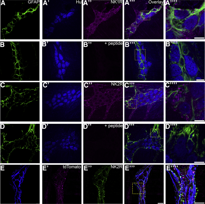 Figure 3