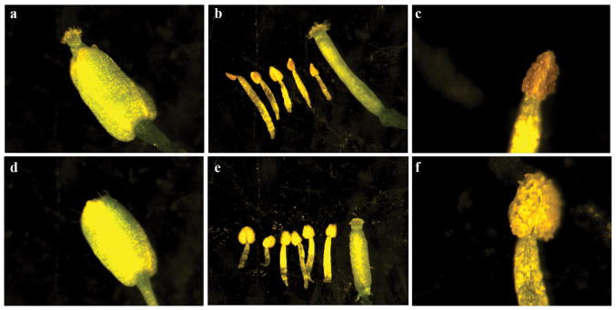Extended Data Figure 8