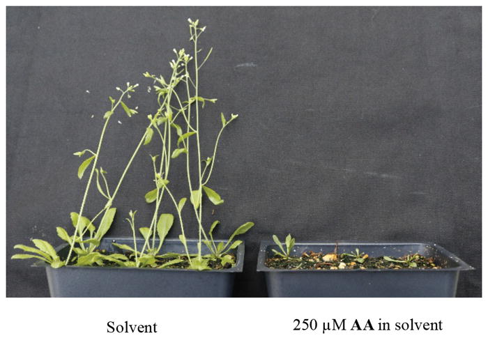 Extended Data Figure 7