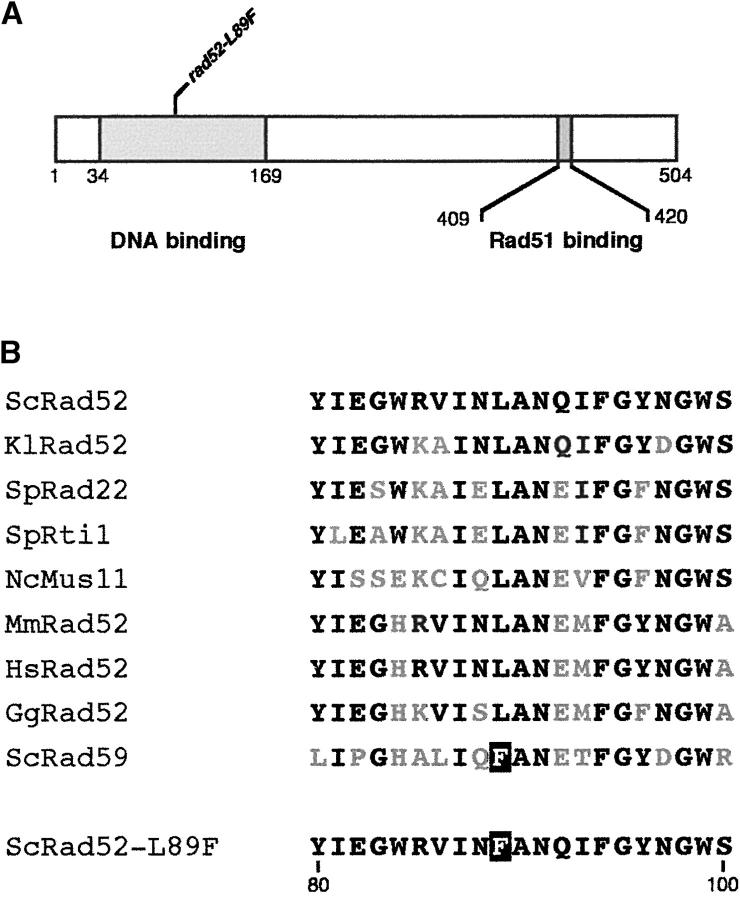 Figure 1.—