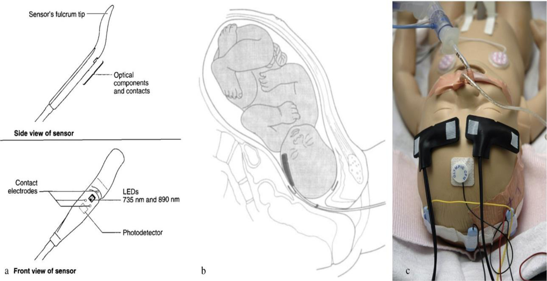 Fig. 6.