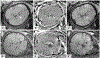 Fig. 10.