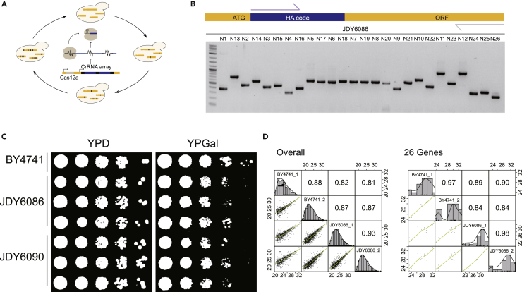 Figure 4