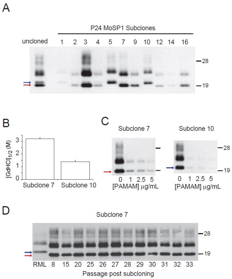 Fig. 6