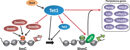 Figure 6.