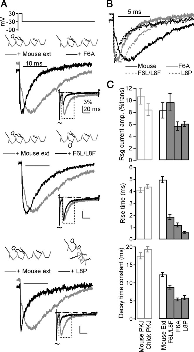 Figure 5.