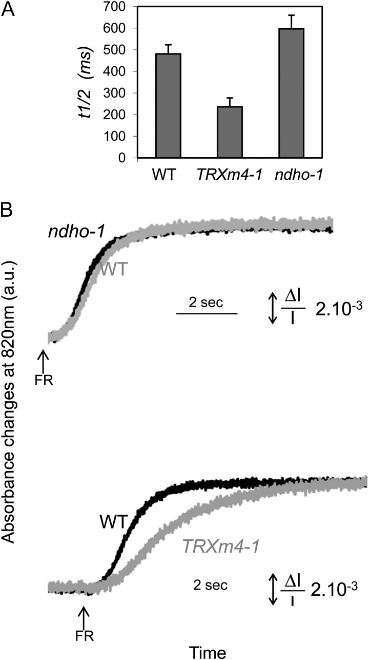 Figure 5.