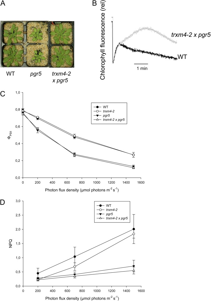 Figure 10.