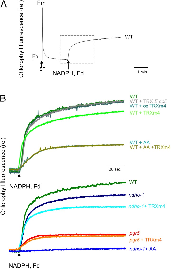 Figure 7.