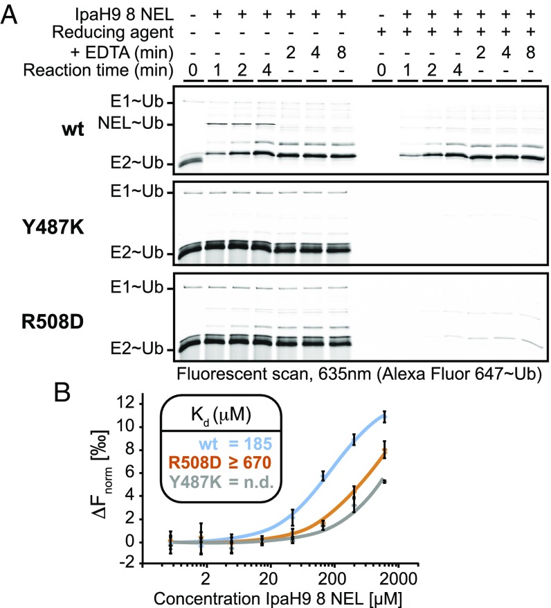 Fig. 3.