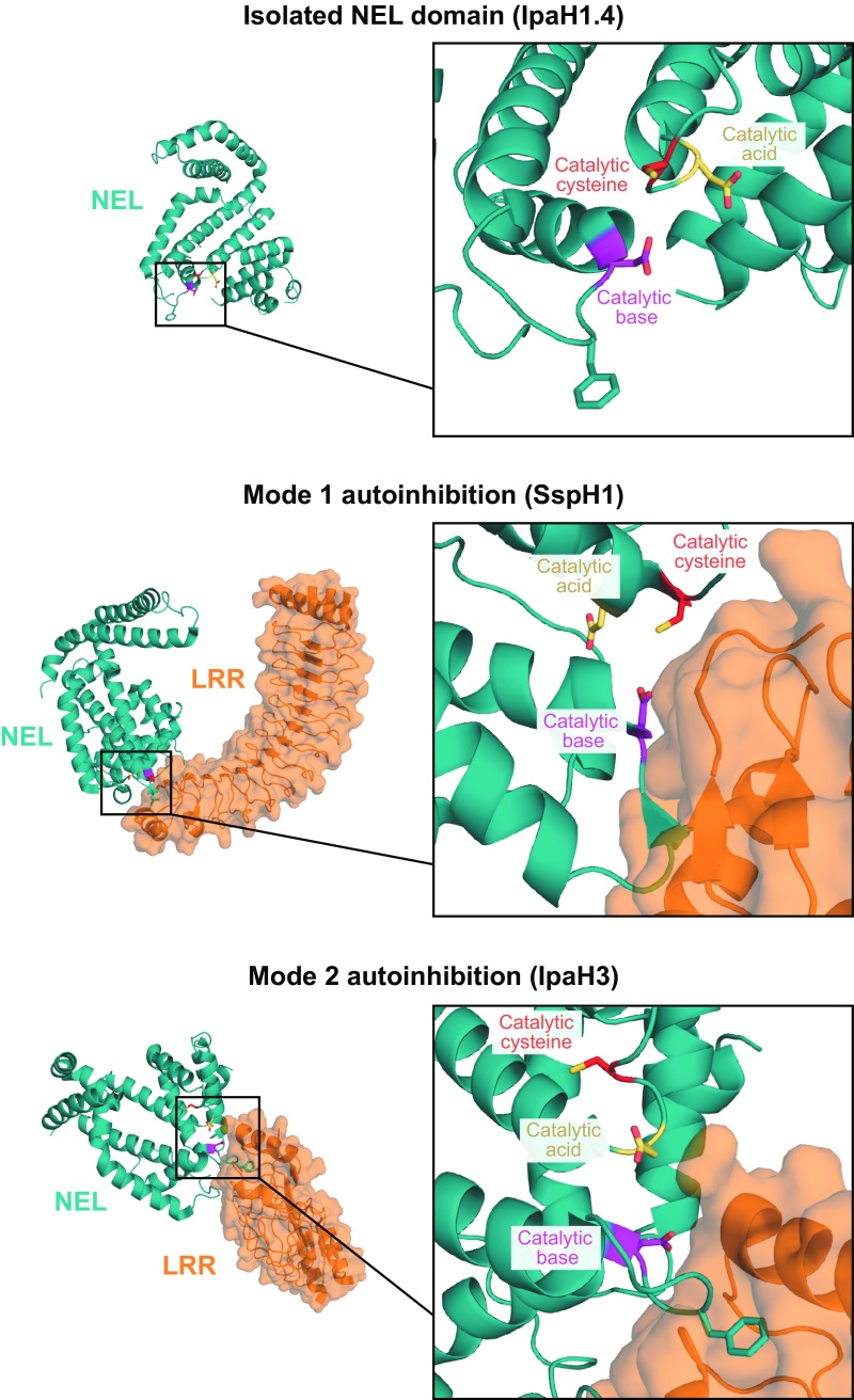 Fig. S5.