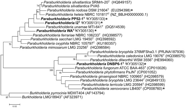 Figure 2