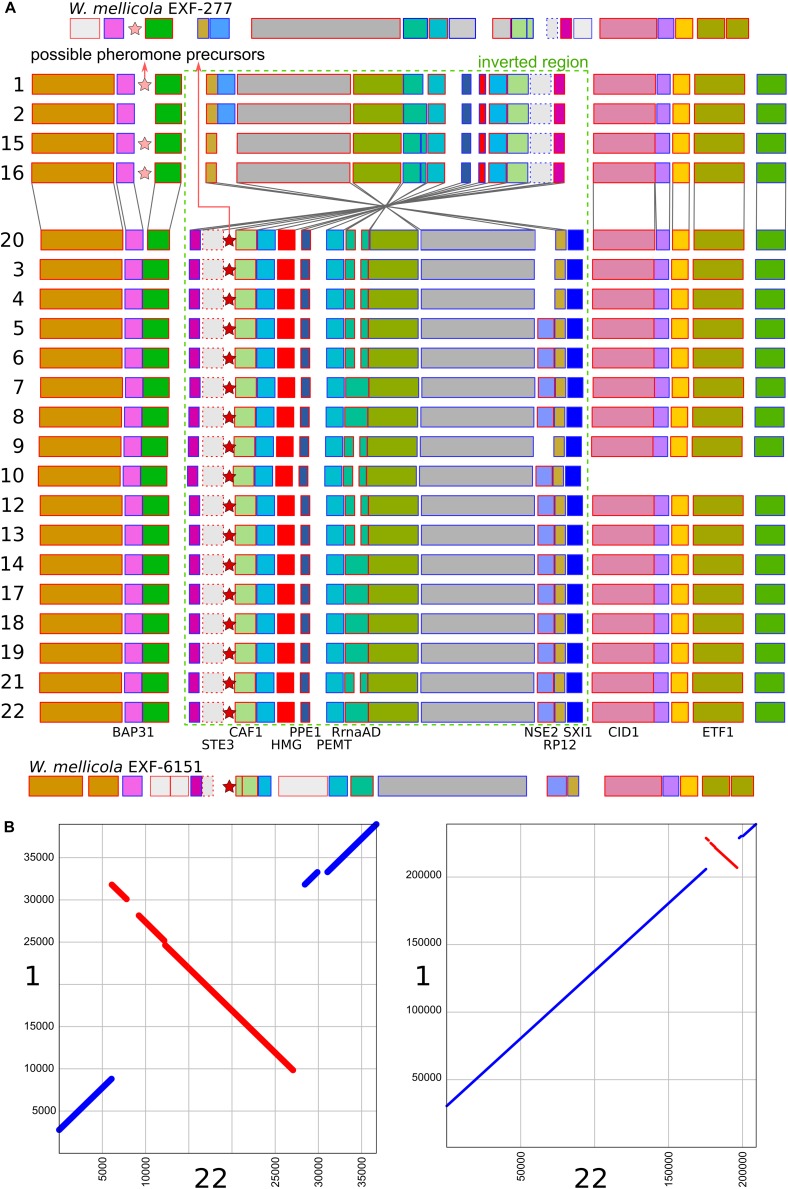 FIGURE 4