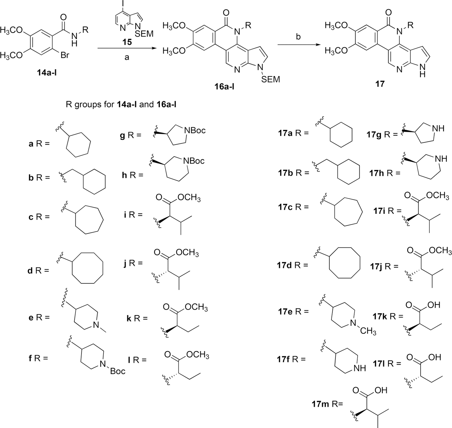Scheme 3