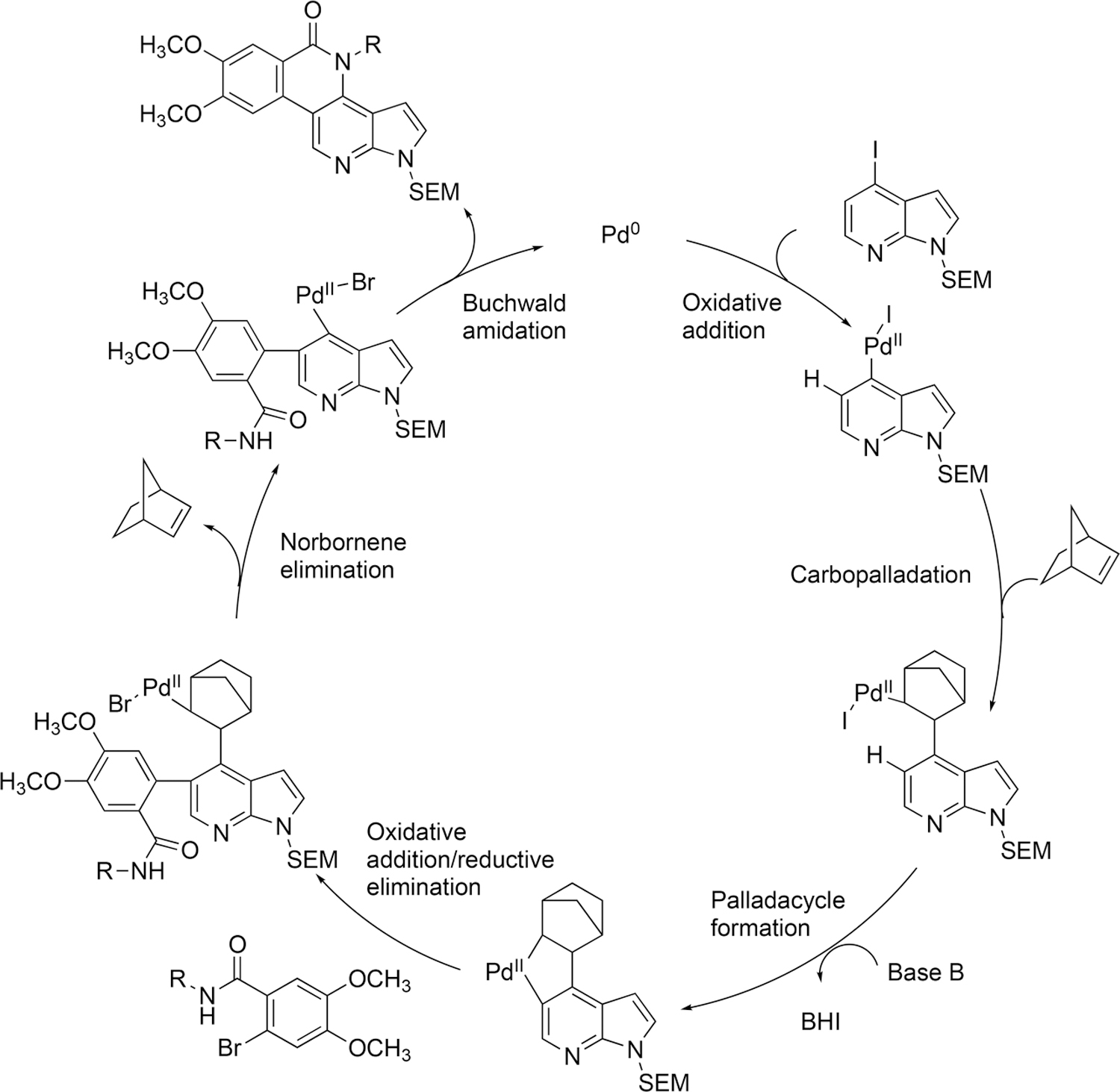Scheme 4