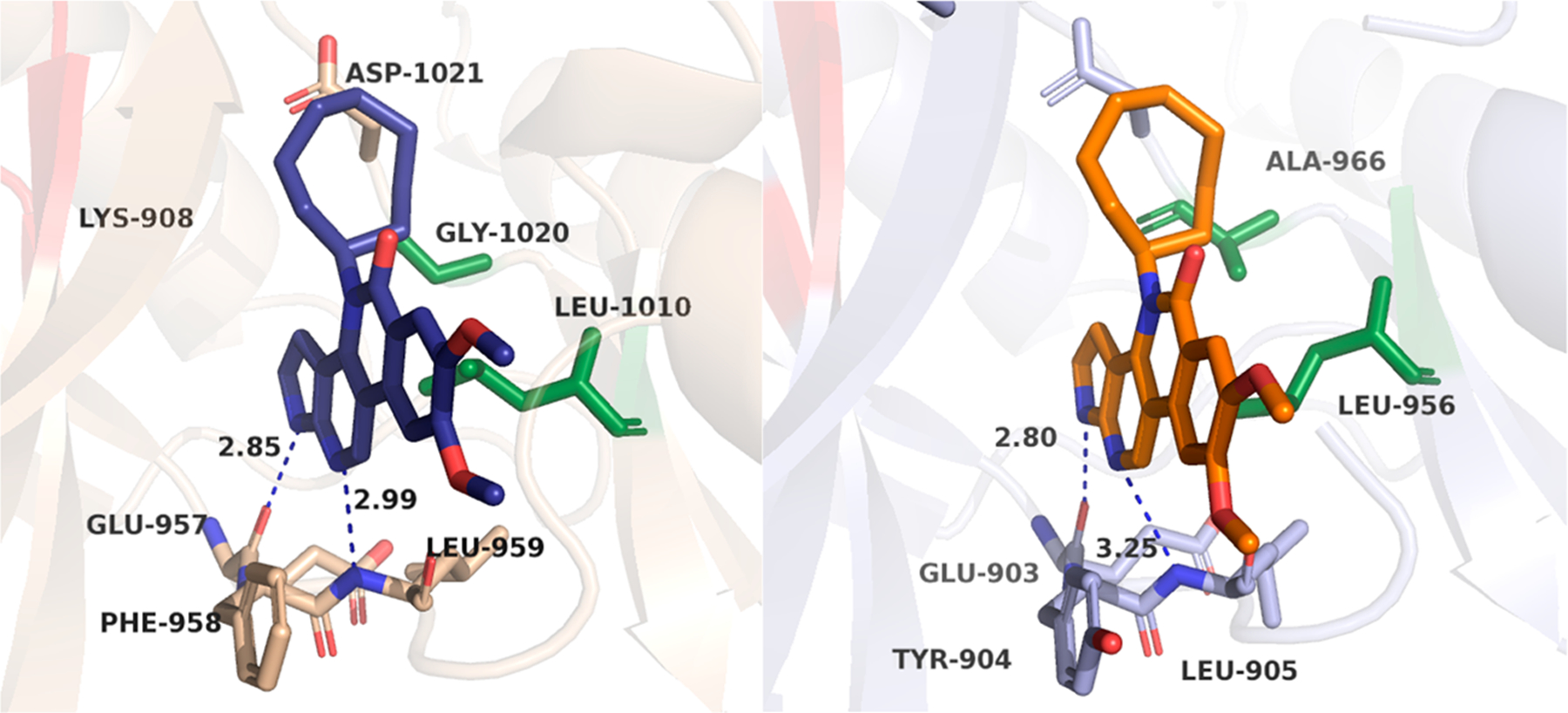 Figure 10.