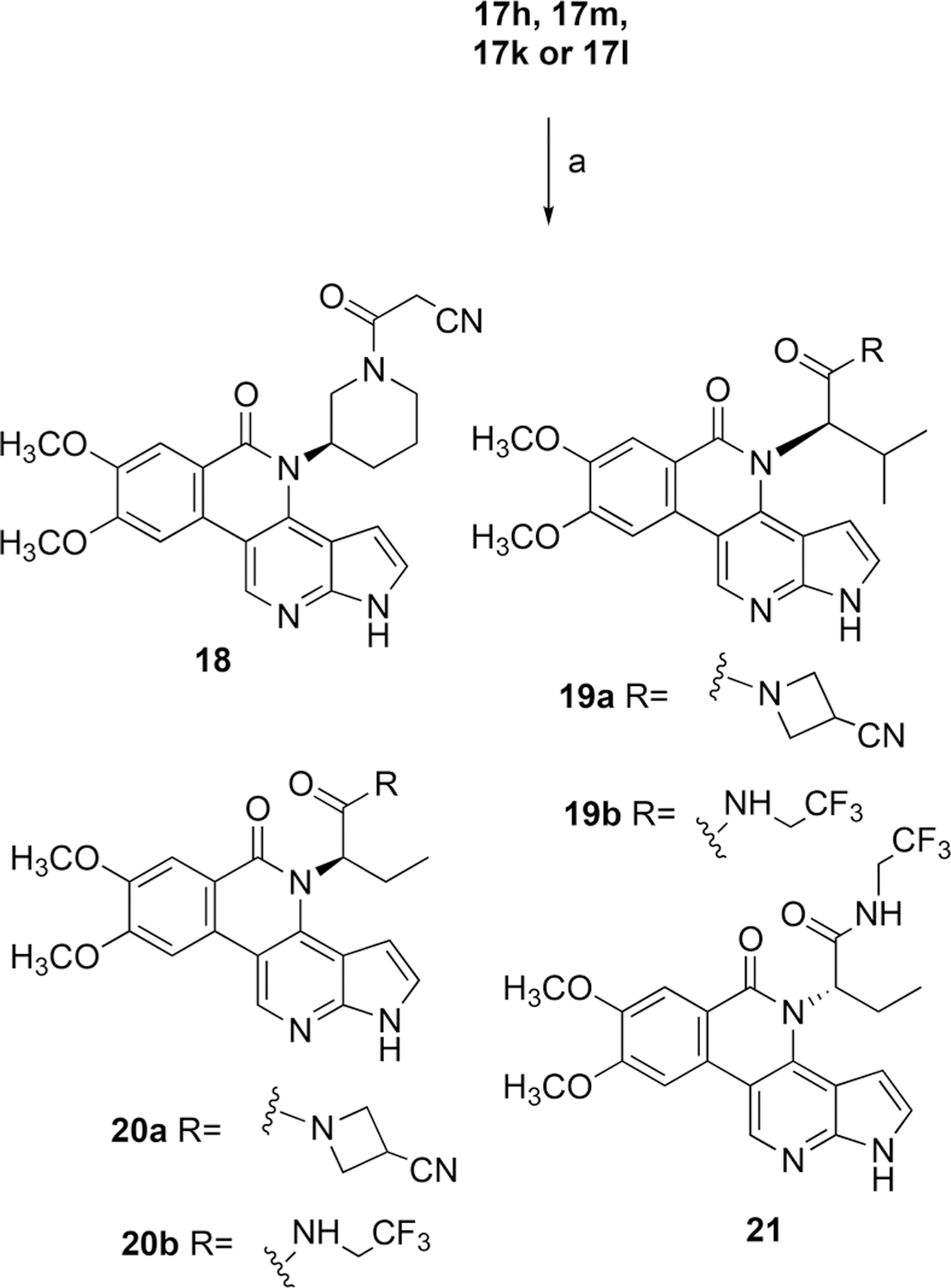 Scheme 5