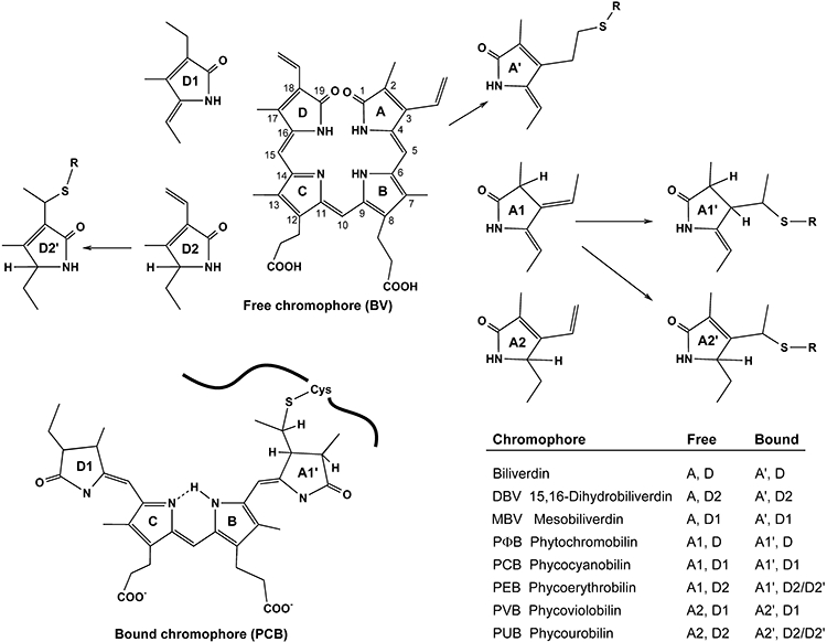 Fig. 2