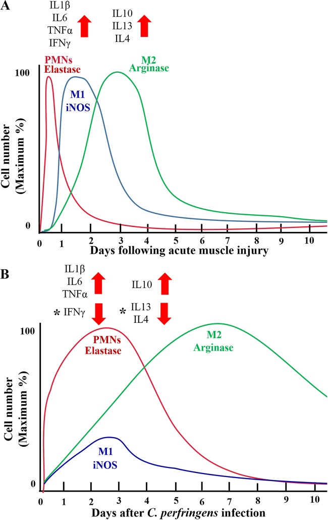 FIG 12