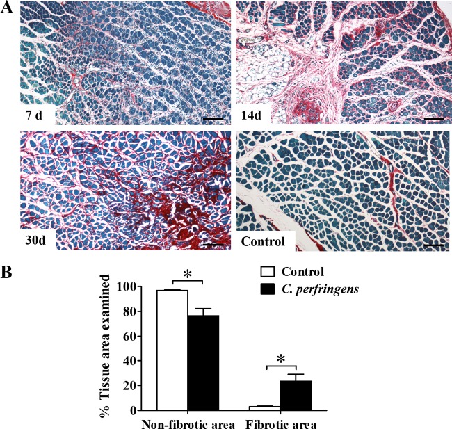 FIG 4