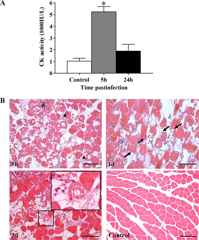 FIG 1