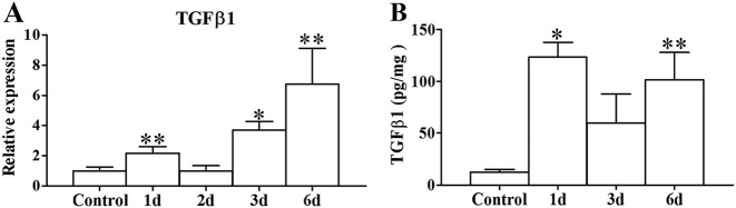 FIG 9