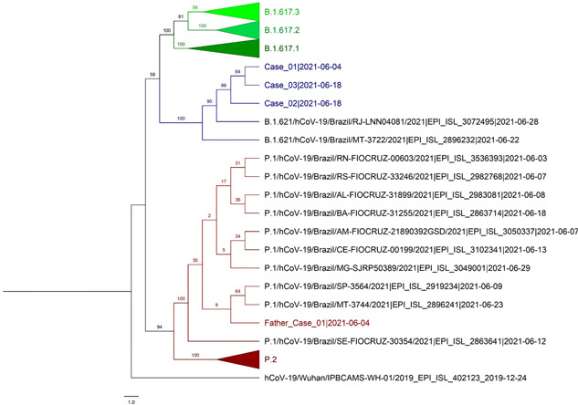 Figure 2