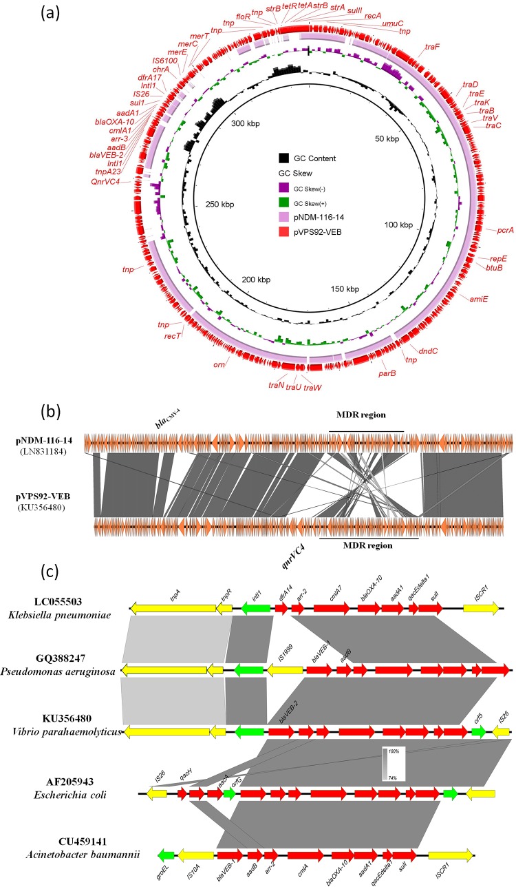 FIG 1