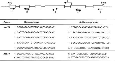 Fig 1.