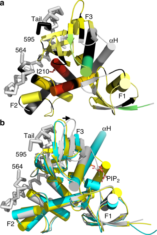 Fig. 2