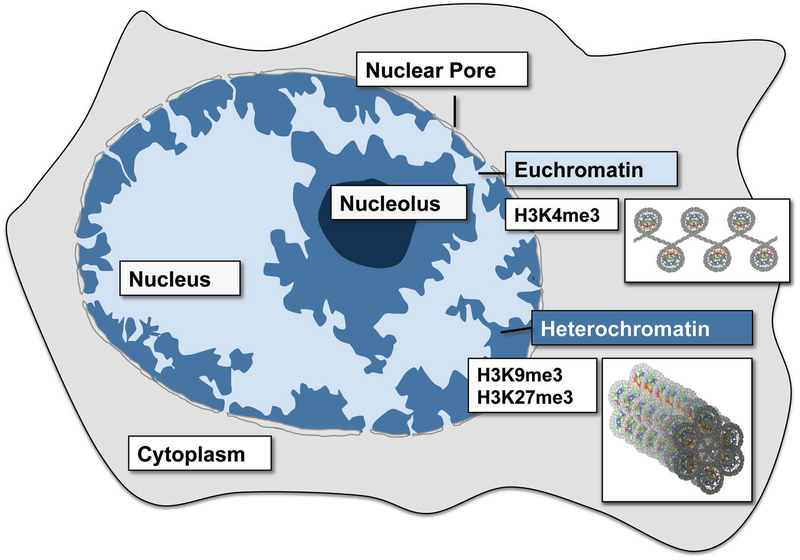 Figure 2: