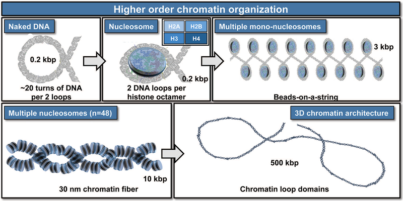 Figure 3: