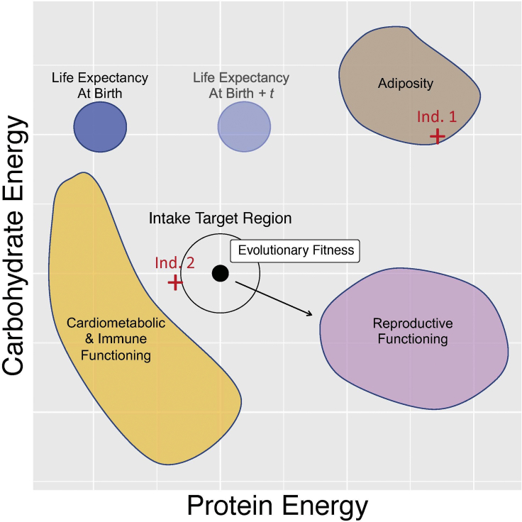 Figure 1