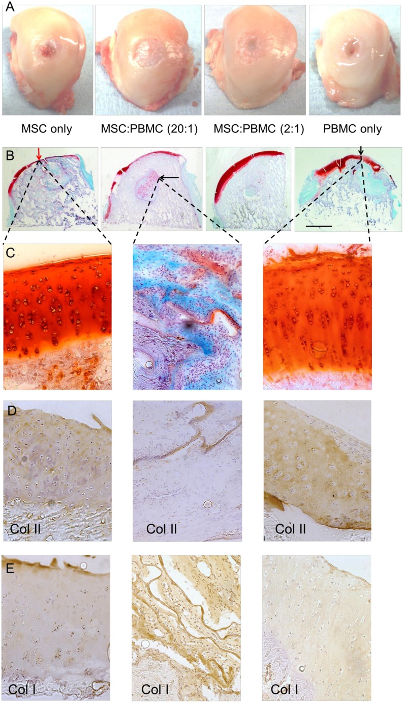 Fig 4