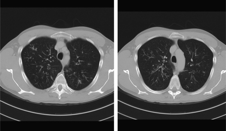 Fig. 1.