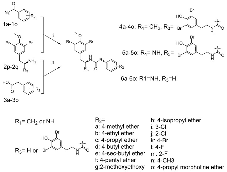 Scheme 1