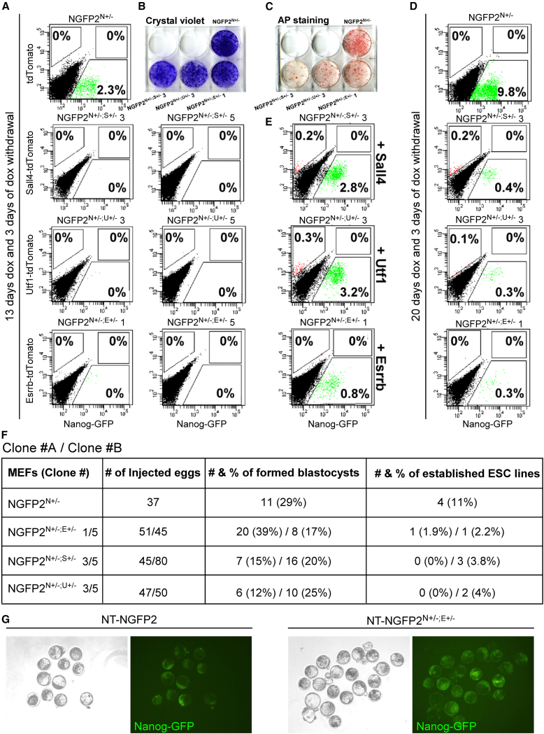 Figure 2